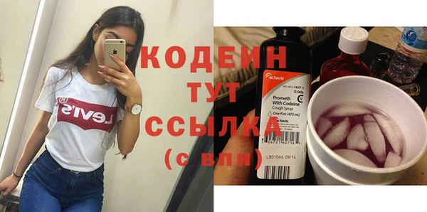 индика Наволоки