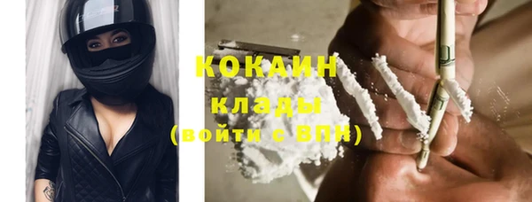 каннабис Новозыбков