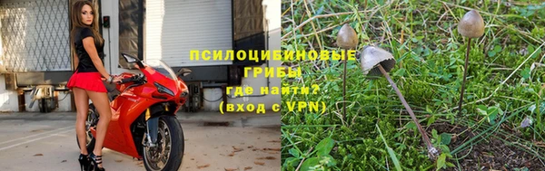 амф Нея