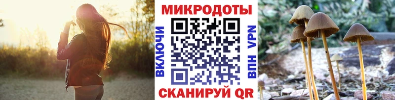 Галлюциногенные грибы Psilocybe Лермонтов
